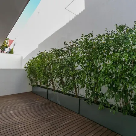 Flh Bairro Alto Trendy Flat With Terrace Лісабон